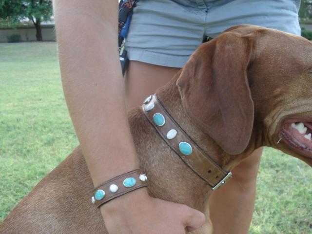 dog and owner matching collar and bracelet